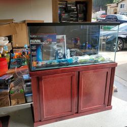 80 Gallon Fish Tank