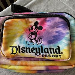 Disneyland Tie-Dyed Fanny pack 