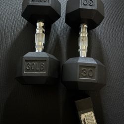 Dumbbells 30LB 