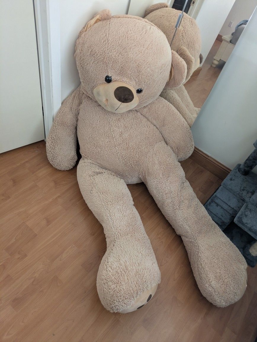 FREE Giant Stuffed Teddy Bear