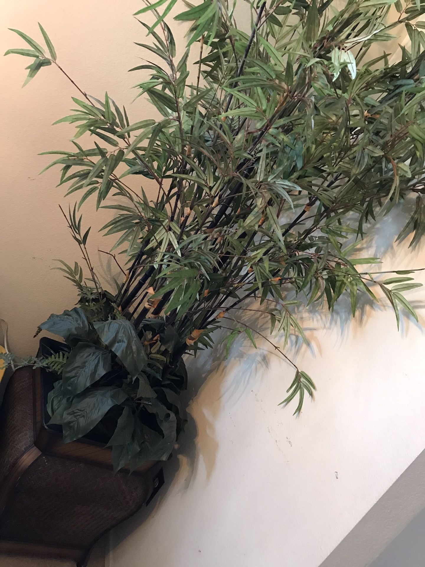 Inside Tree Plant (fake)