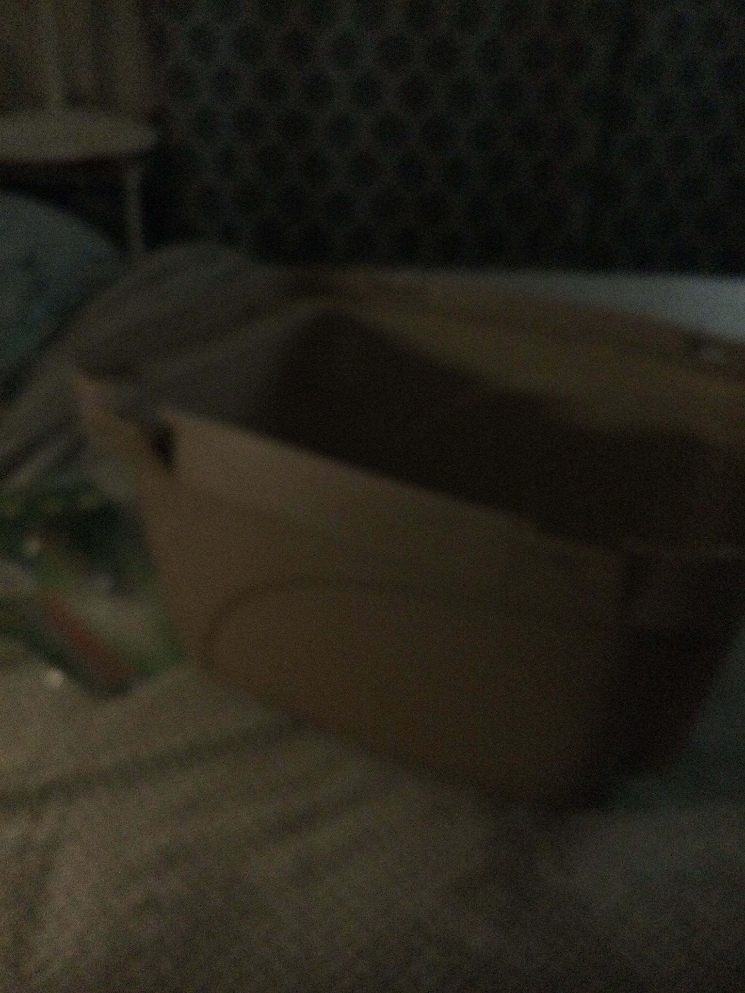Cat Box  2  Boxes 1 Dome $15 