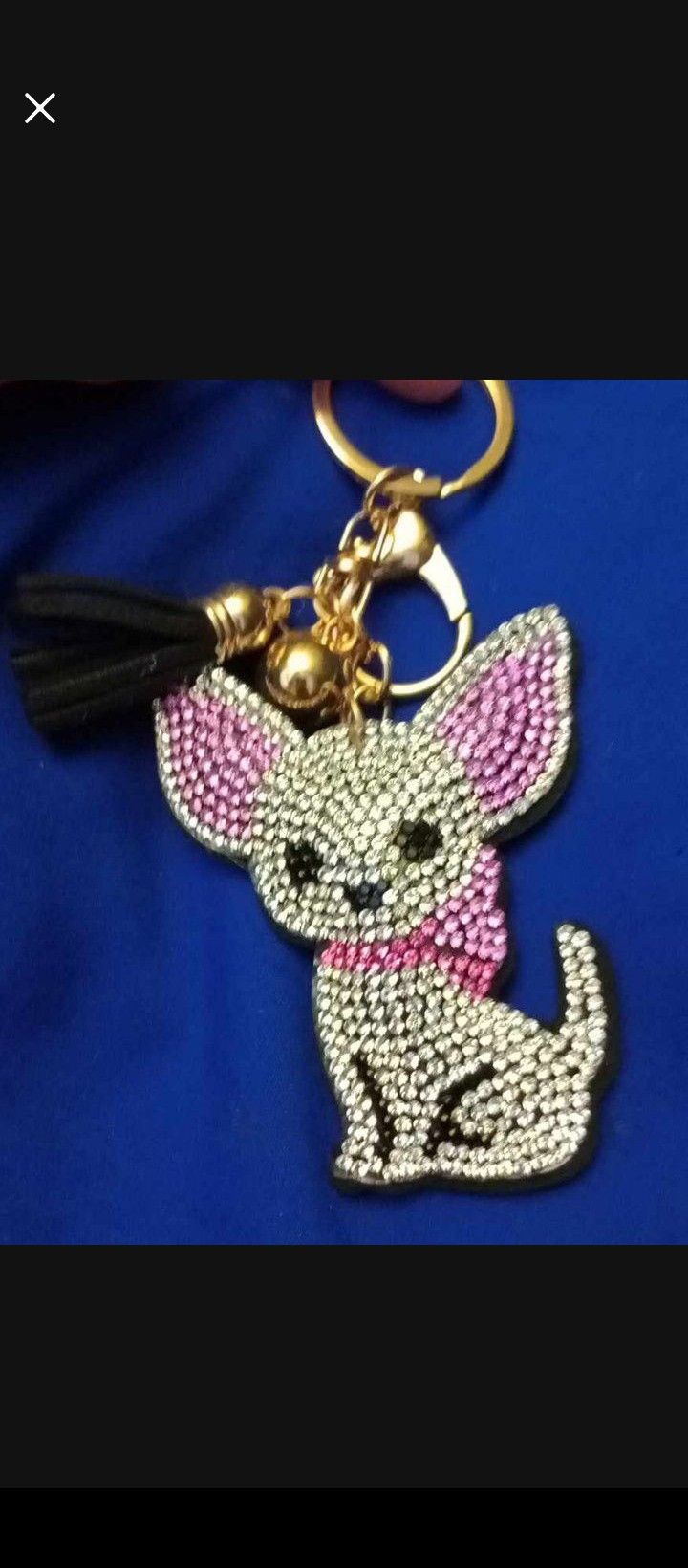 🩷 Diamond Dog Keychain - Still Available