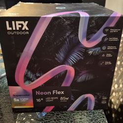 Govee Neon Flex Lights