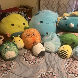 Squishmallow Lot