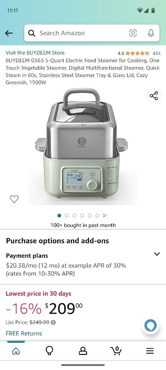 Electric Food Steamer