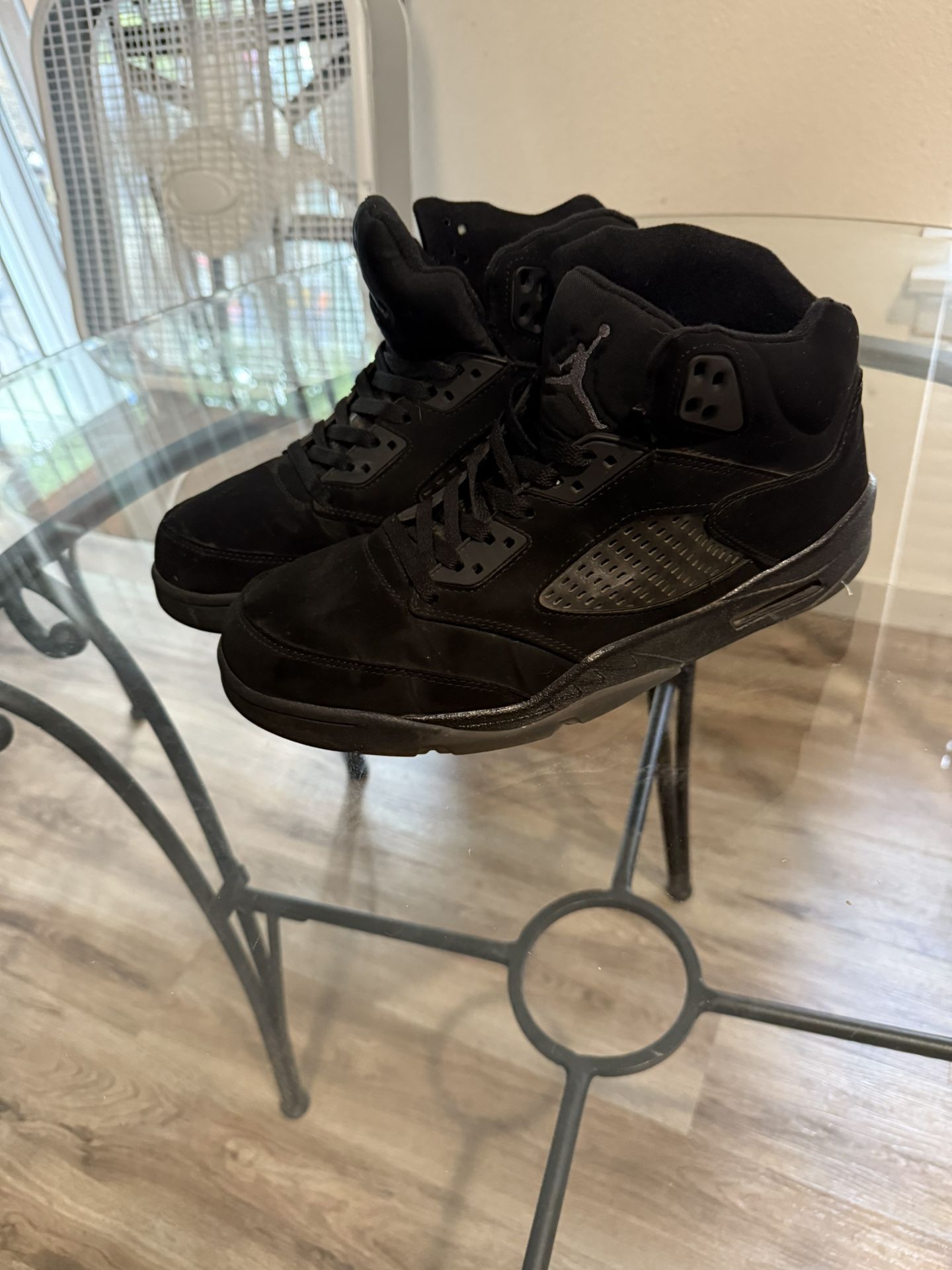 Air Jordan 5 Black Cat