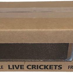 Like Cricket Box