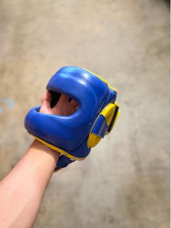 Ringside headgear