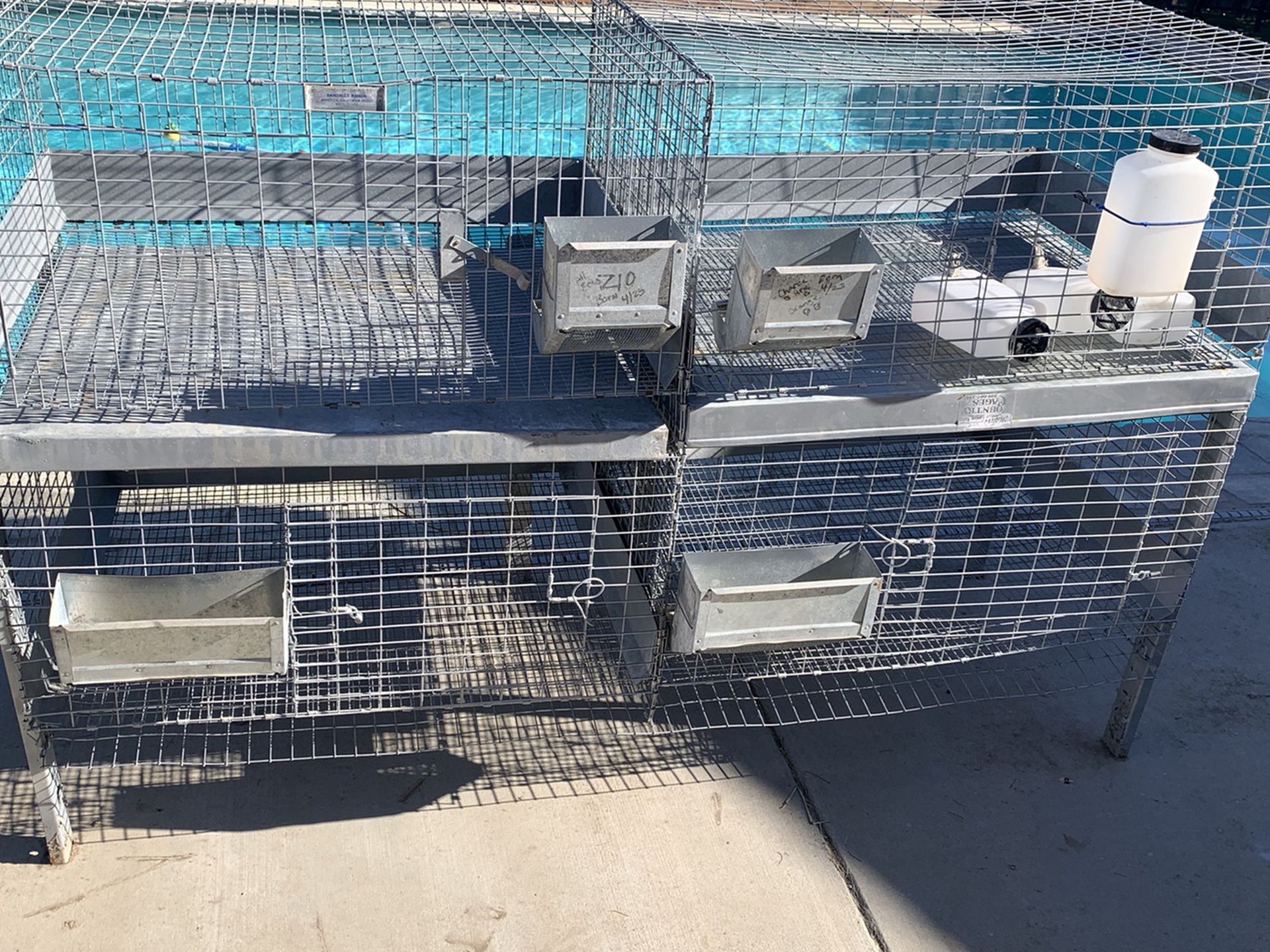 Rabbit Cage Size In Pictures