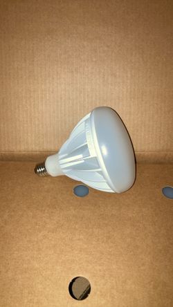 Outdoor lights