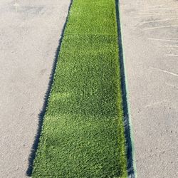 Artificial Grass 
