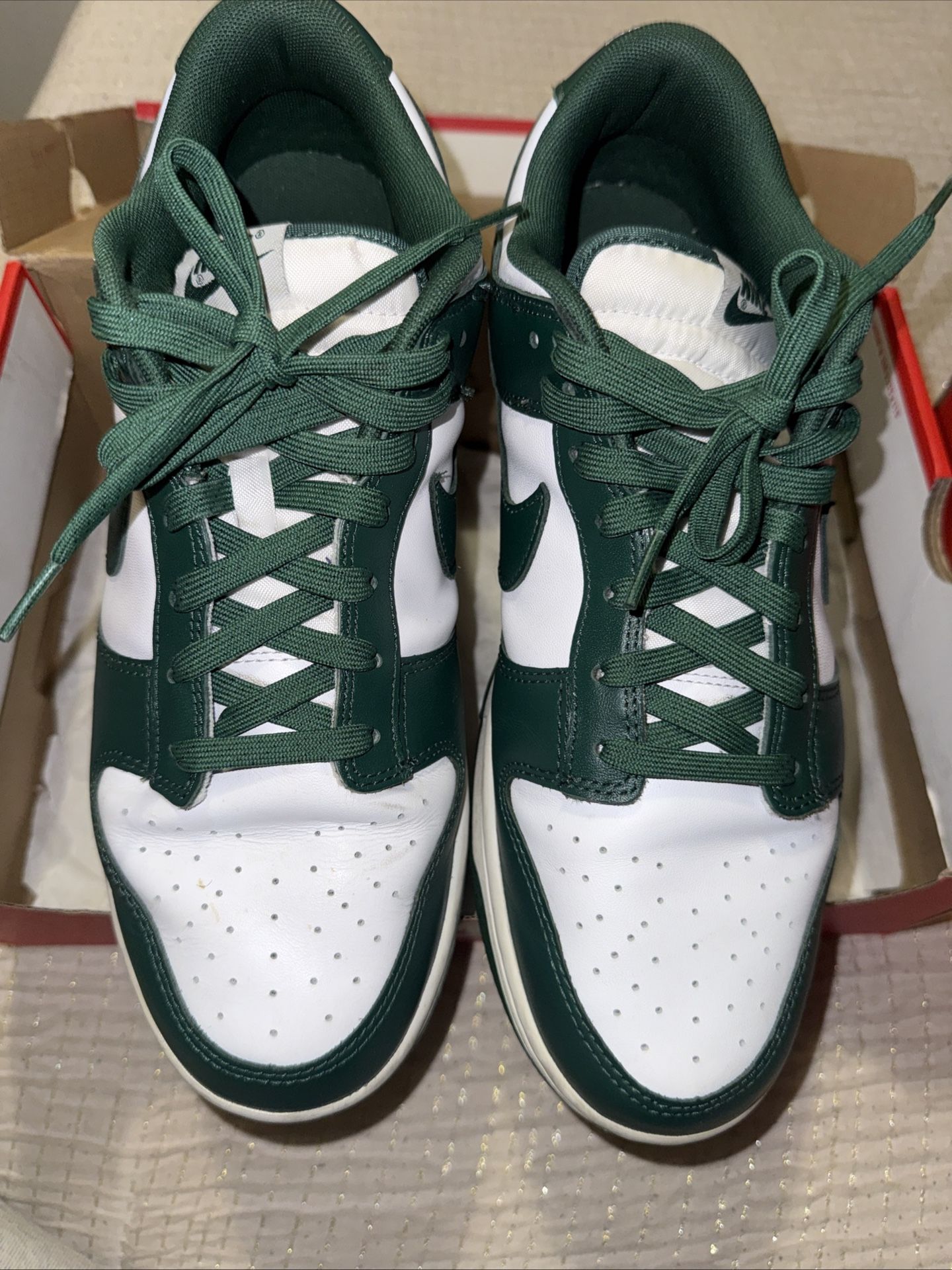 Nike Dunk Low Michigan