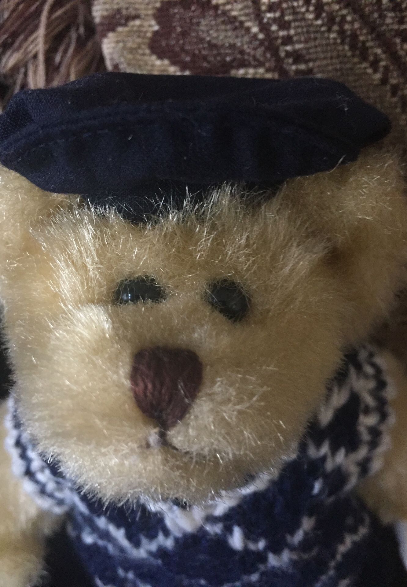 TY Bear