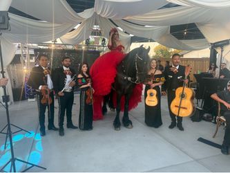 Mariachi KOBRA