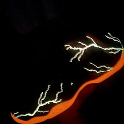 Nike air foamposite Stranger Things size 12