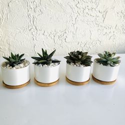 Mini Arrangments About 2”-3”