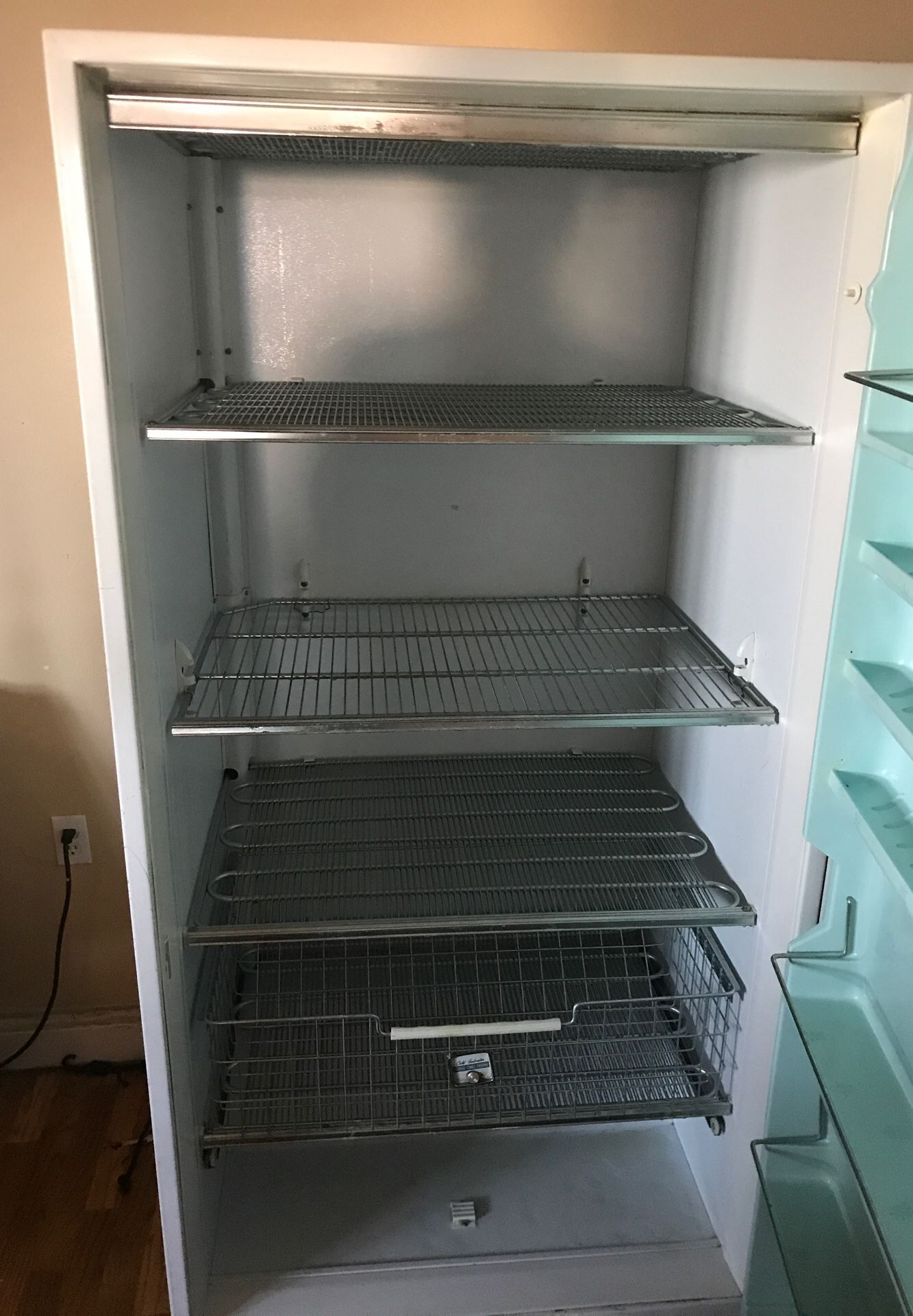 Extra large stand up freezer