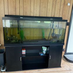 125gal Fish Tank