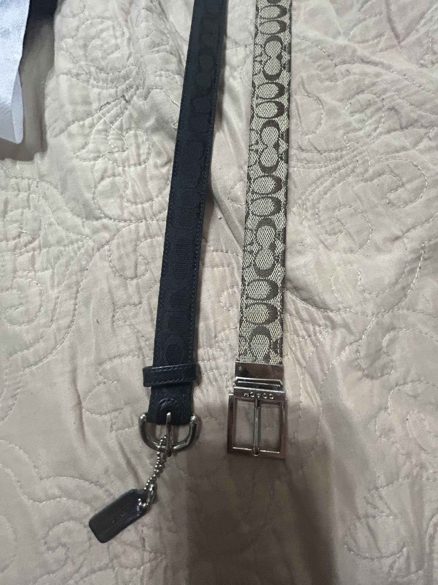 Coach Belts