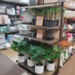 Artificial Plants 20.00 And 15.00