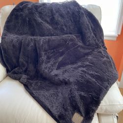 Pets Blanket 