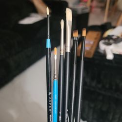 Winsor & Newton Lot Of Paint Brushes (Royal & Langnickel / Princeton/ & Lakeshore)