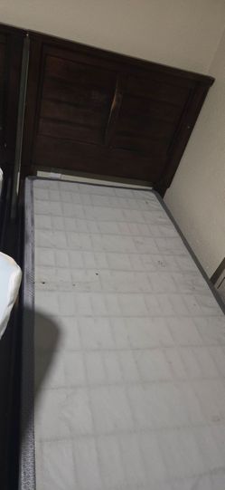 Espresso twin bedframe plus box springs x 2