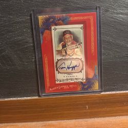 Tom Knapp Auto 