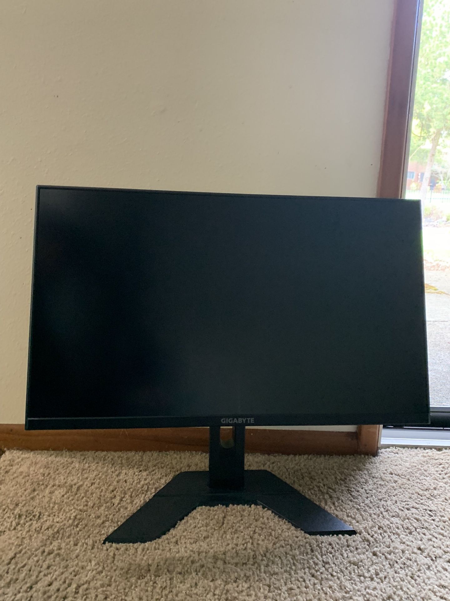 Gigabyte Monitor