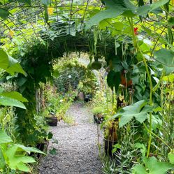 TRELLIS TUNNEL 