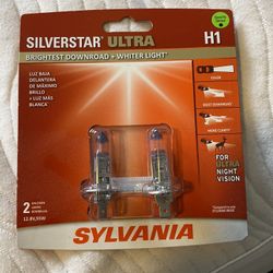 Head Light Bulbs
