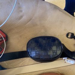 Pouch for Your Waist