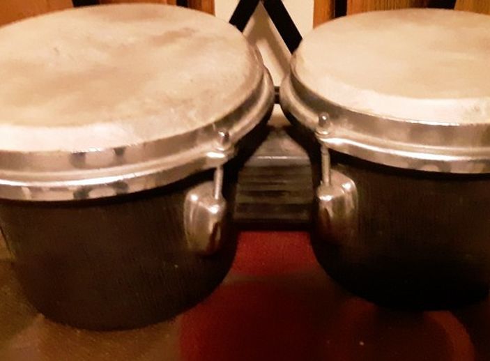 Bongo Bongos
