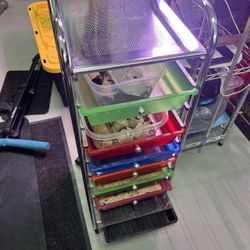Meal Worm Black Fly Larva Bins