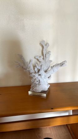 Coral home decor