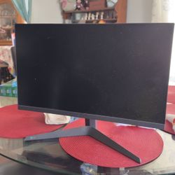 LG Monitor 