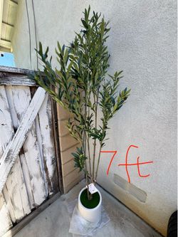 7FT Tall Faux Olive Tree with White Planter
