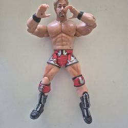 TNA Impact! Jeff Jarret Action Figure (2005) Marvel 