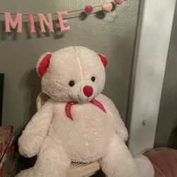 Jumbo Bear For Sale 