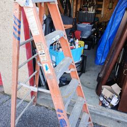 6ft Ladder 