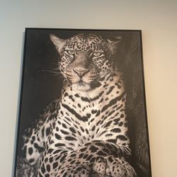 Cheetah Portrait For Sell!!! 