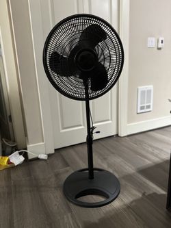 Lasko 16” 3-Speed Adjustable Oscillating Pedestal Fan, Black