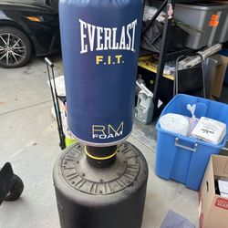 Punching Bag