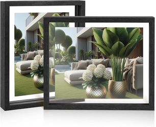 THRDOST 11x14 Floating F... Artwork 2pcs