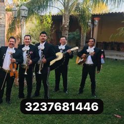 Vihuela ViolÃn Mariachi