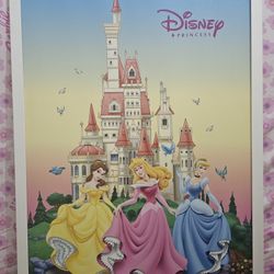 Disney Princess Painting