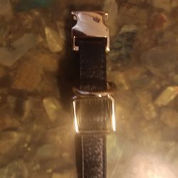 Fine Doggy Leather Collar/Gold