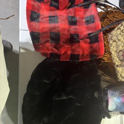 Women’s Fur Bags 