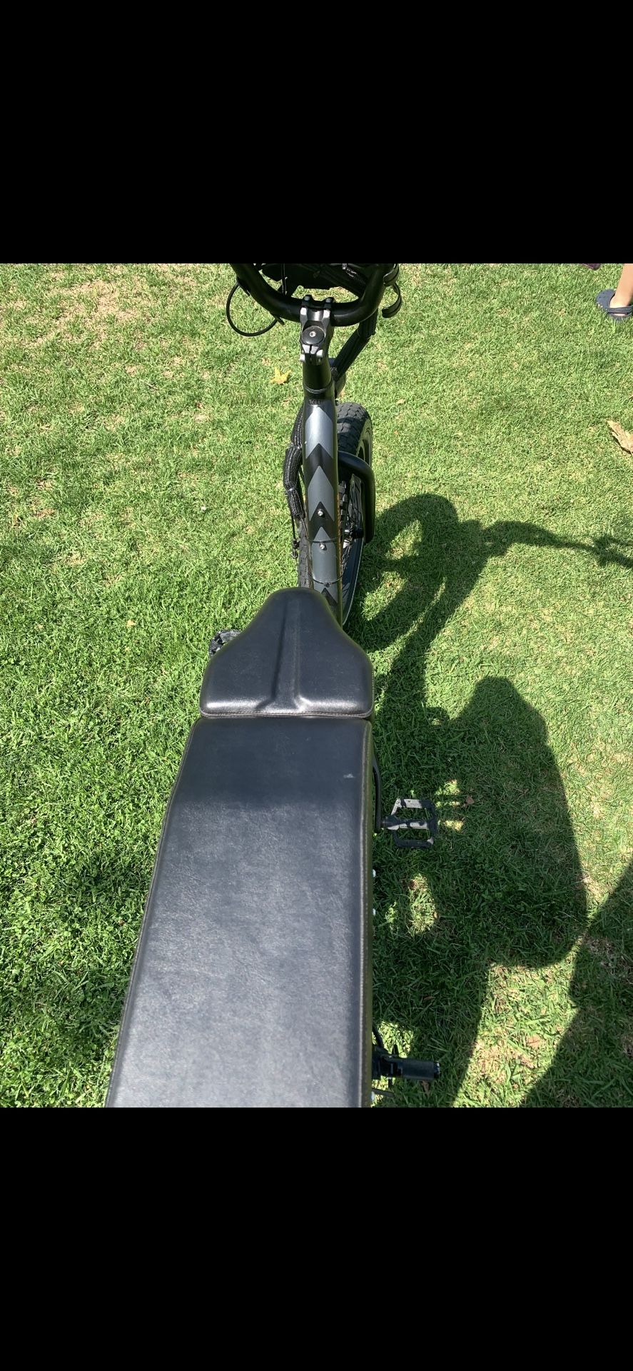 Rad Runner Bike $750